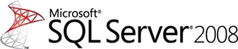 Microsoft SQL Server 2008 Standard, 1Y, CAL Baza danych