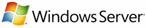 Microsoft Windows Server CAL, OLV-GOV, LIC/SA, 1u CAL, 1Y Aq Y1 Baza danych Rządowy 1 x licencja