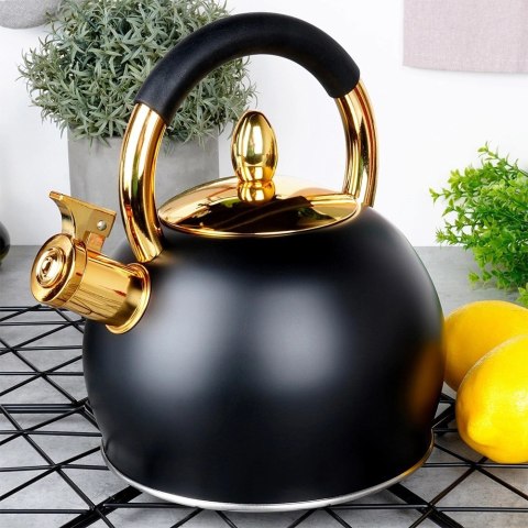 Czajnik z Gwizdkiem Stalowy Nierdzewny Czarny Złoty VILDE 3 L