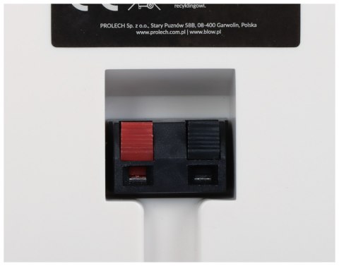 GŁOŚNIK SUFITOWY WS-502 80 W BLOW