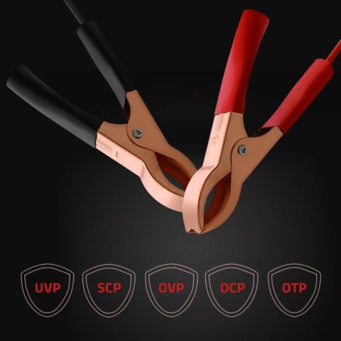 Qoltec Inteligentna ładowarka Monolith do akumulatorów LiFePO4 AGM GEL SLA | 10A | 24V