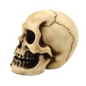 Czaszka Figurka Model Dekoracja Halloween Gadżet Prezent - MC-30683
