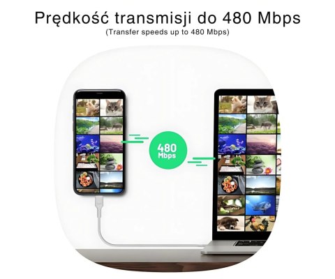 PRZEWÓD KABGC100PS30SW USB-C/USB-C PowerStream 0.3 m Green Cell