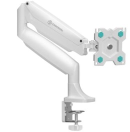 MONITOR ACC DESK MOUNT/13-32