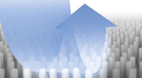 Bosch BBZWDSET akcesorium/materiał eksploatacyjny do odkurzacza Roztwór czyszczący Cylinder próżniowy