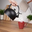 Czajnik na Gaz Indukcja z Gwizdkiem Stalowy Czarny Solidny Trwały VILDE 2 l