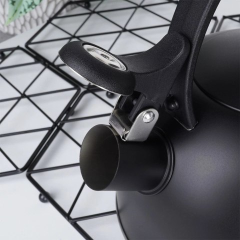 Czajnik na Gaz Indukcja z Gwizdkiem Stalowy Czarny Solidny Trwały VILDE 3 l