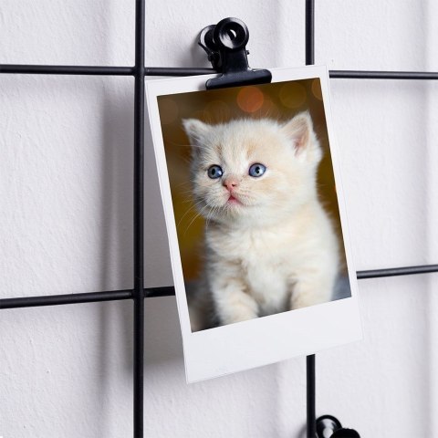 Kratka na Zdjęcia Metalowa Czarna 58 x 36 cm VILDE Uniwersalna