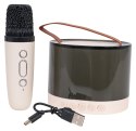 Zestaw Karaoke Mikrofon + Podświetlany Głośnik