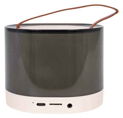 Zestaw Karaoke Mikrofon + Podświetlany Głośnik