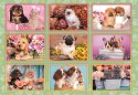 Clementoni: Puzzle Super 180el. Puppies Collage
