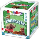 Rebel - BrainBox - Zwierzęta
