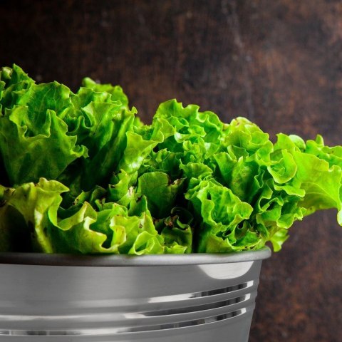 Wiadro Stalowe Nierdzewne Metalowe Ogrodowe ORION 10 L