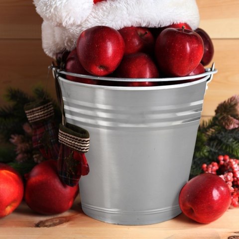 Wiadro Stalowe Nierdzewne Metalowe Ogrodowe ORION 10 L