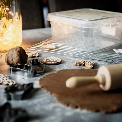 Pojemnik Duży na Wypieki Ciastka 45 L ORION Zmywarka Mrożenie 26 x 24 cm