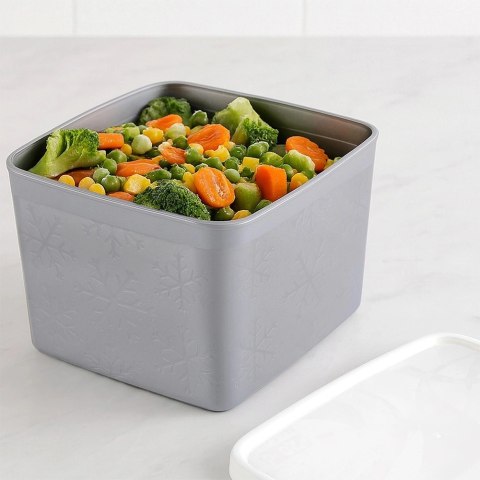 Pojemnik na Żywność Sypką Szczelny 11 L ORION Zmywarka Mrożenie 14 x 12 cm
