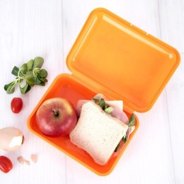 Pojemnik Lunchbox Śniadaniowy 750 ml ORION Zmywarka Mikrofala 18 x 13 cm