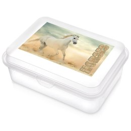 Pojemnik Lunchbox Śniadaniowy 750 ml ORION Zmywarka Mikrofala 18 x 13 cm