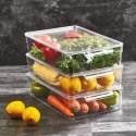 Pojemnik do Lodówki z Pokrywką 32,5 x 20 x 7,5 cm ORION Przezroczysty