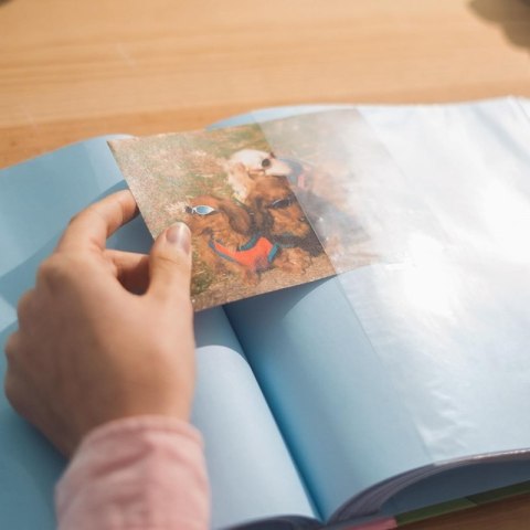 Muminki - Album fotograficzny na 200 zdjęć 10x15 cm