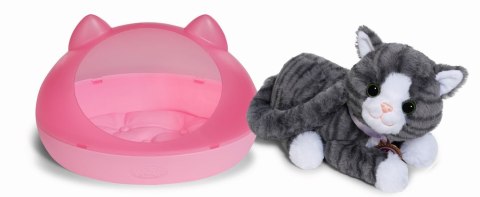 BABY born My Cat Cookie with Box Zwierzątka dla lalek