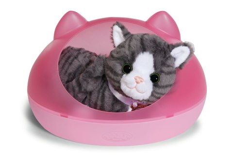 BABY born My Cat Cookie with Box Zwierzątka dla lalek