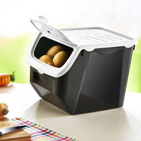 Skrzynka Box Pudło na Warzywa Owoce Cebulę Ziemniaki ORION 12l do Spiżarni