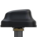 ANTENA PR1KC640 COMBO 5G GNSS Wi-Fi Teltonika