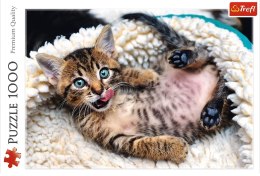 Trefl | Puzzle 1000el. | Wesoły Kotek