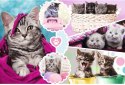 Trefl | Puzzle 160el. | Urocze kotki