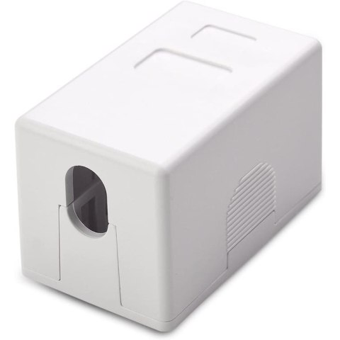 Techly IWP-MD SC-1T akcesorium do modułów keystone Wspornik