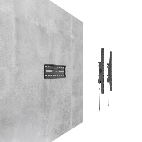 Uchwyt Basic do ściany 32-75 cali czarny LCD/KL-38