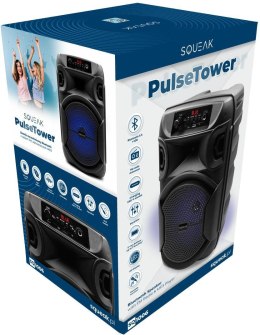 Głośnik mobilny SQUEAK SQ1006 30W Radio FM Czarny