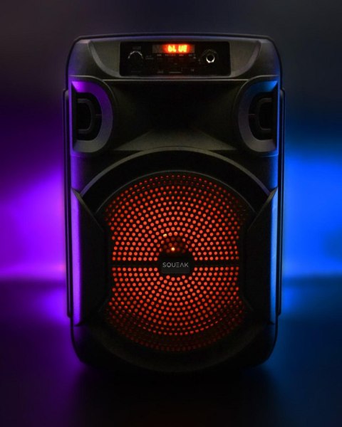 Głośnik mobilny SQUEAK SQ1006 30W Radio FM Czarny