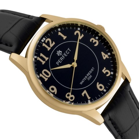 ZEGAREK MĘSKI PERFECT C426F-10 (zp289g)