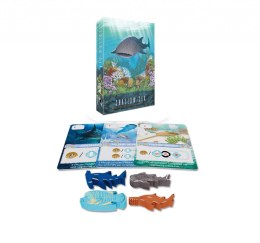 GRA SHALLOW SEA: RZADKIE RYBKI - dodatek - OGRY GAMES