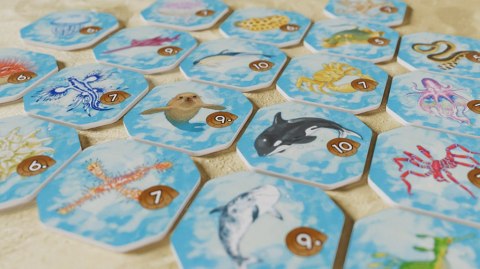 GRA SHALLOW SEA: SEZON LEGOWY - dodatek - OGRY GAMES