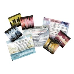 GRA PLANSZOWA NA SKRZYDŁACH SMOKÓW: SMOCZA AKADEMIA - dodatek REBEL