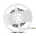 Taśma LED V-TAC 12V SMD5050 300LED RGBW IP20 8W/m VT-5050 60-IP20-8 6500K+RGB 357lm