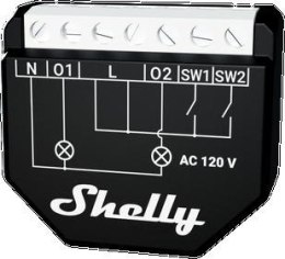 Shelly Wave 2PM