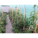 Tunel foliowy - szklarnia ogrodowa - 3x8 m
