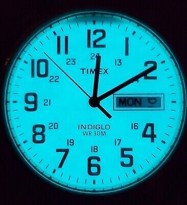 ZEGAREK MĘSKI TIMEX South Street Sport T2M933 + BOX