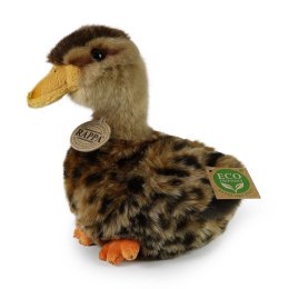 Rappa - Pluszowa realistyczna maskotka Kaczka Krzyżówka 19 cm Eco-Friendly