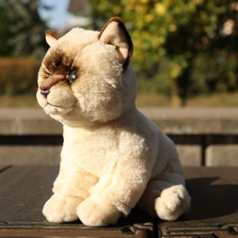 Rappa - Pluszowa realistyczna maskotka Kot Ragdoll siedzący 23 cm Eco-Friendly Soft Collection