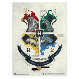 Harry Potter - Zestaw plakatów na ścianę 2 szt. (38 x 52 cm)