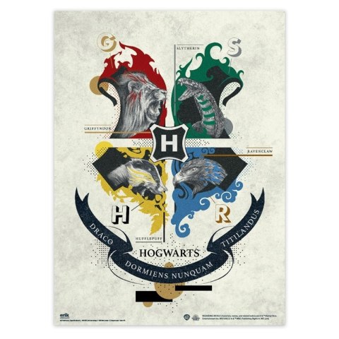 Harry Potter - Zestaw plakatów na ścianę 2 szt. (38 x 52 cm)