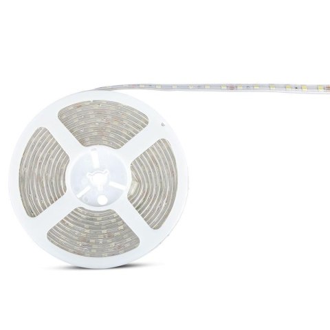 Taśma LED V-TAC SMD5050 300LED 24V IP65 rękaw VT-5050 60 6400K 500lm