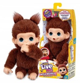 Little Live Pets - Mini Małpka Chikki Cher