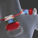 EMS NECK MASSAGER - Masażer EMS do szyi i karku (Elektrostymulacja Mięśni). 4 tryby i 9 poziomów intensywności. Funkcja ciepłego