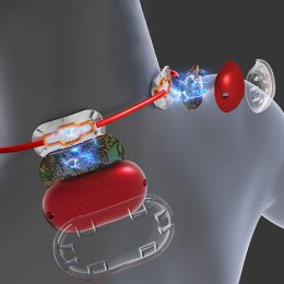 EMS NECK MASSAGER - Masażer EMS do szyi i karku (Elektrostymulacja Mięśni). 4 tryby i 9 poziomów intensywności. Funkcja ciepłego